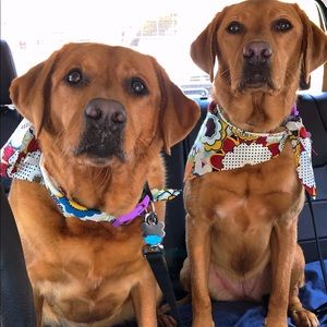 Meet your Posher, Sandra